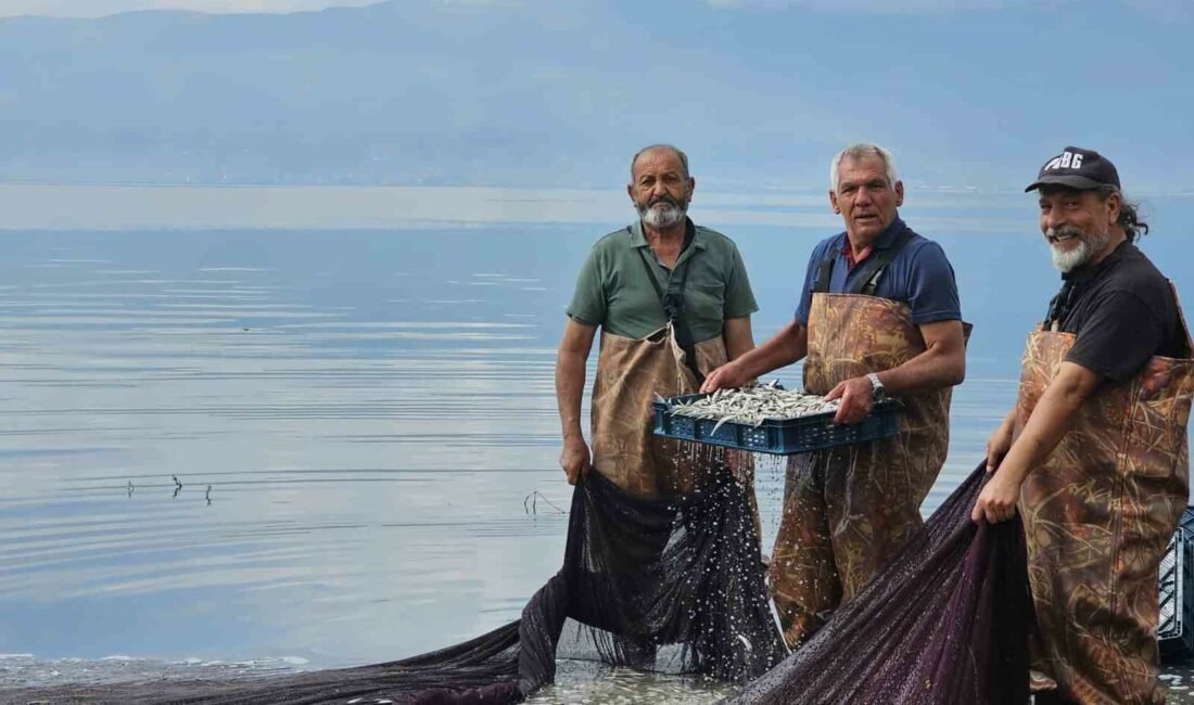 İZNİK GÖLÜ’NDE GÜMÜŞ BALIĞI