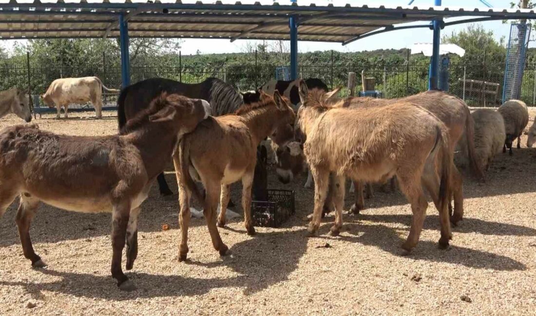 TÜRKİYE’NİN YER YERİNDEN İNSANLARA