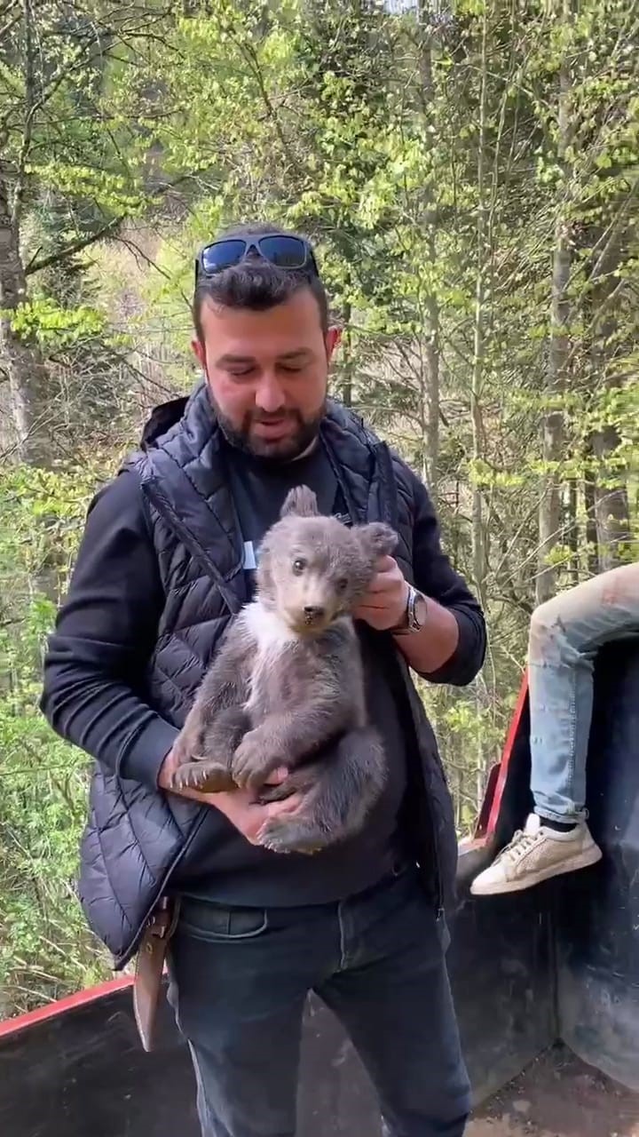 Bursa’da şehre inen yavru ayı maskot oldu