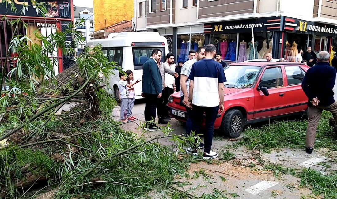 BURSA'NIN İNEGÖL İLÇESİNDE SEYİR