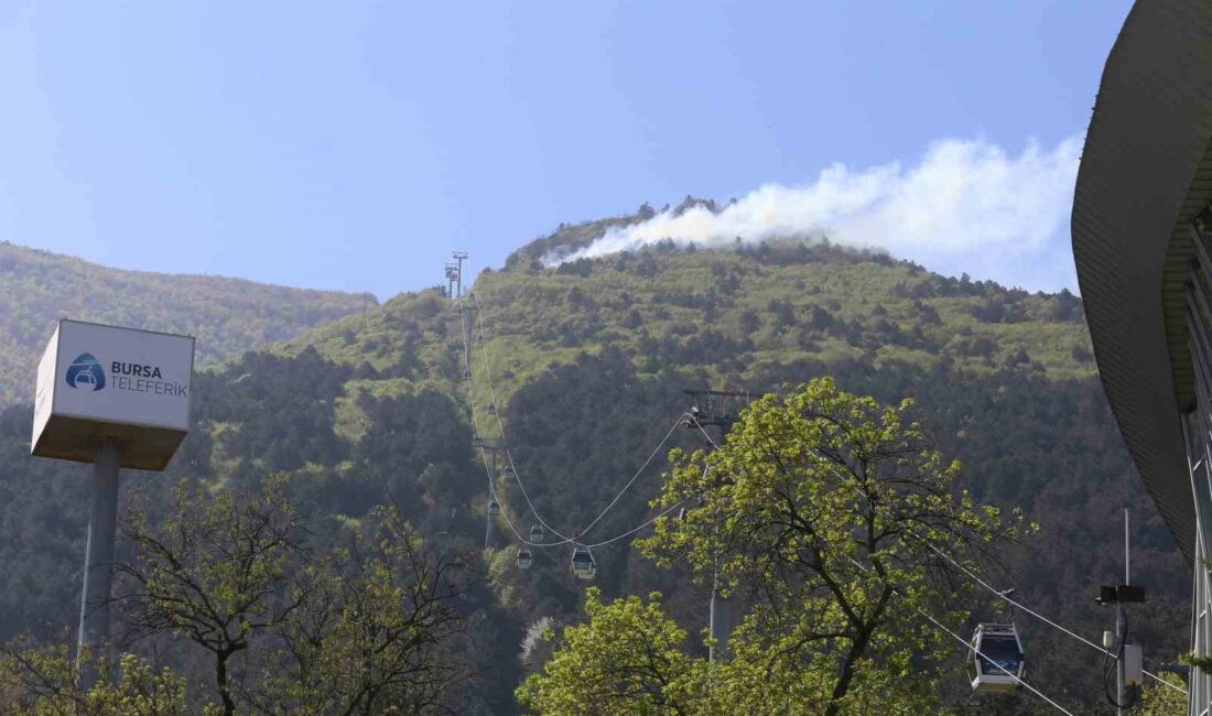 BURSA’NIN ULUDAĞ ETEKLERİNDE ÇIKAN