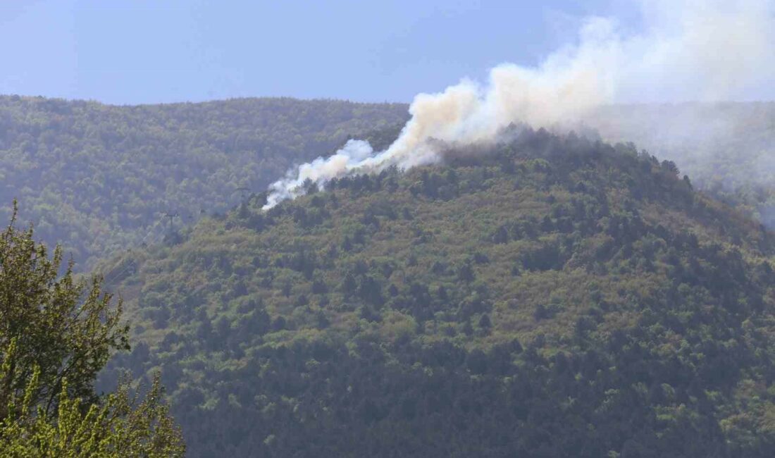 Uludağ’da orman yangını çıktı,