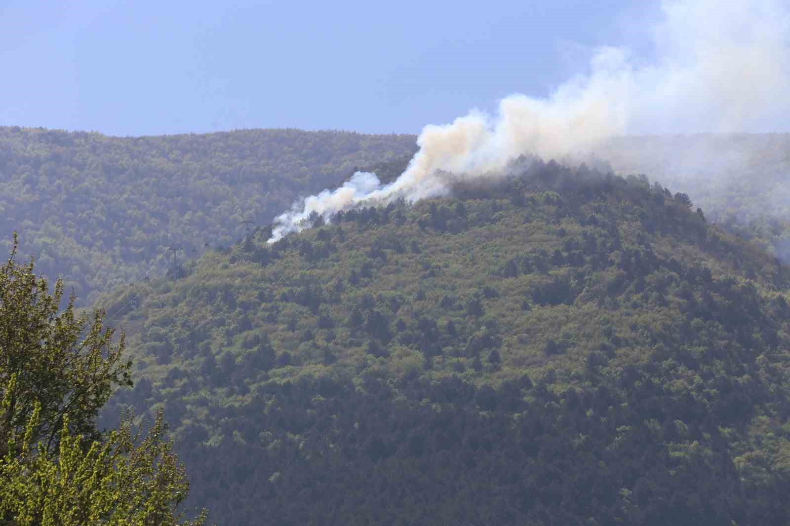 Uludağ’da orman yangını, ekipler müdahale ediyor