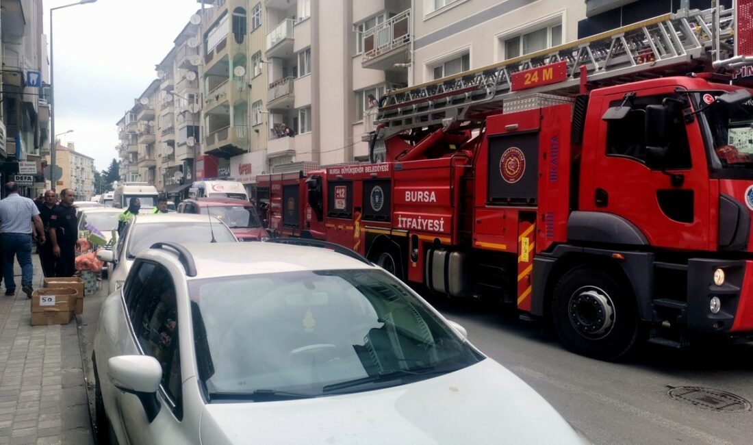 BURSA MUDANYA İLÇESİ İPAR