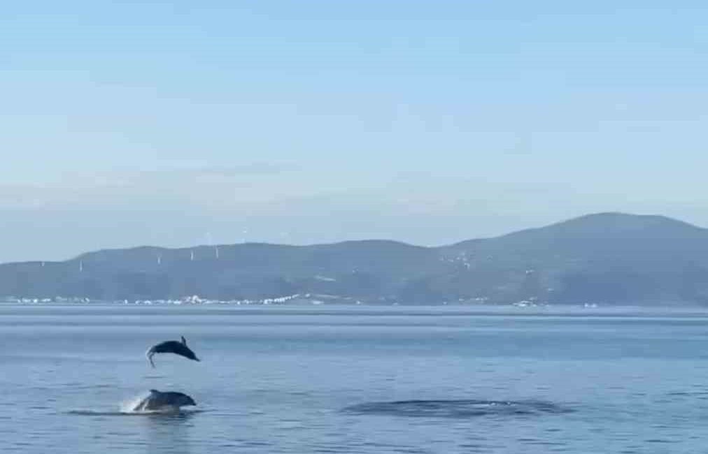 BURSA'NIN MUDANYA İLÇESİNDE YUNUS