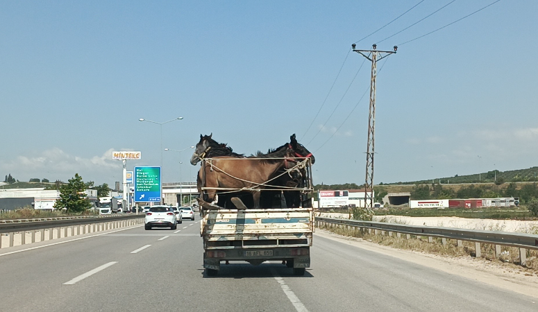 Bursa’da trafiğe çıkan bir