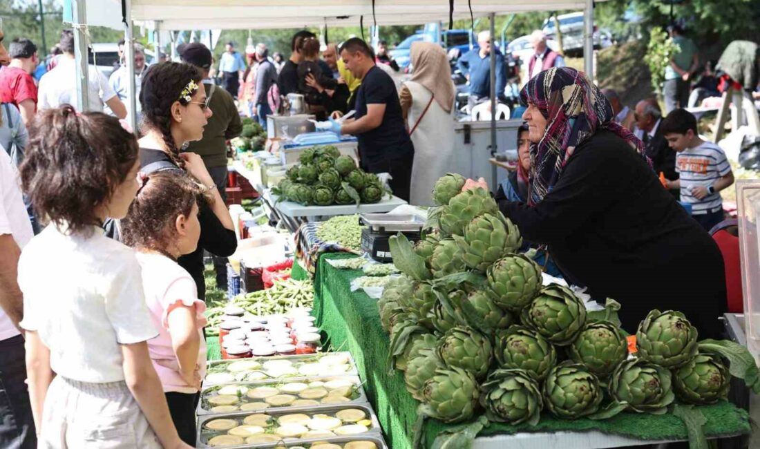 Nilüfer Belediyesi’nin bu yıl