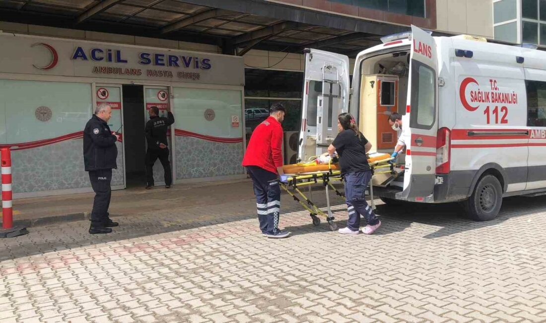 Bursa’nın Gemlik ilçesinde, üçüncü