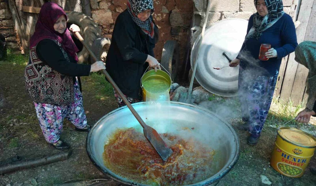 Bursa’da Kozluören Köyü’nde yapılan