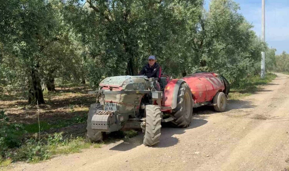 Bursa’nın İznik ilçesinde çiftçilik