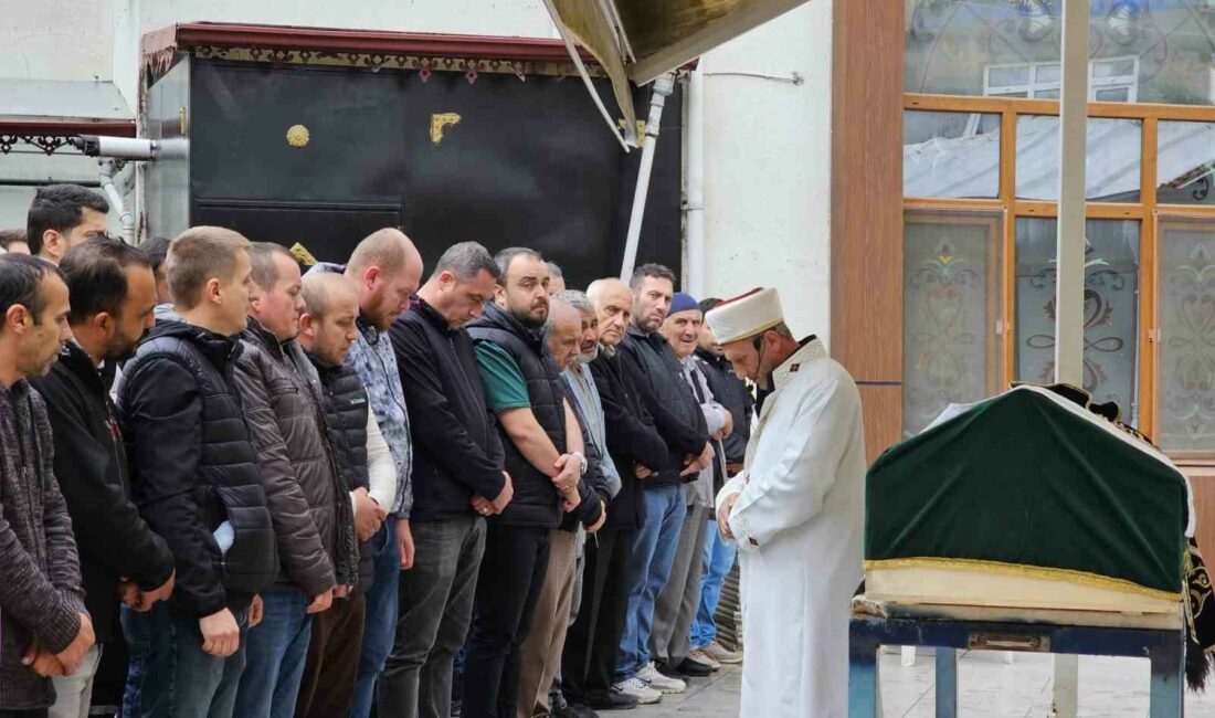 Bursa’nın Orhangazi ilçesinde, kuzeni