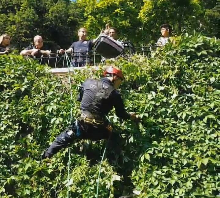 Bursa’da sarmaşıklarda mahsur kalan