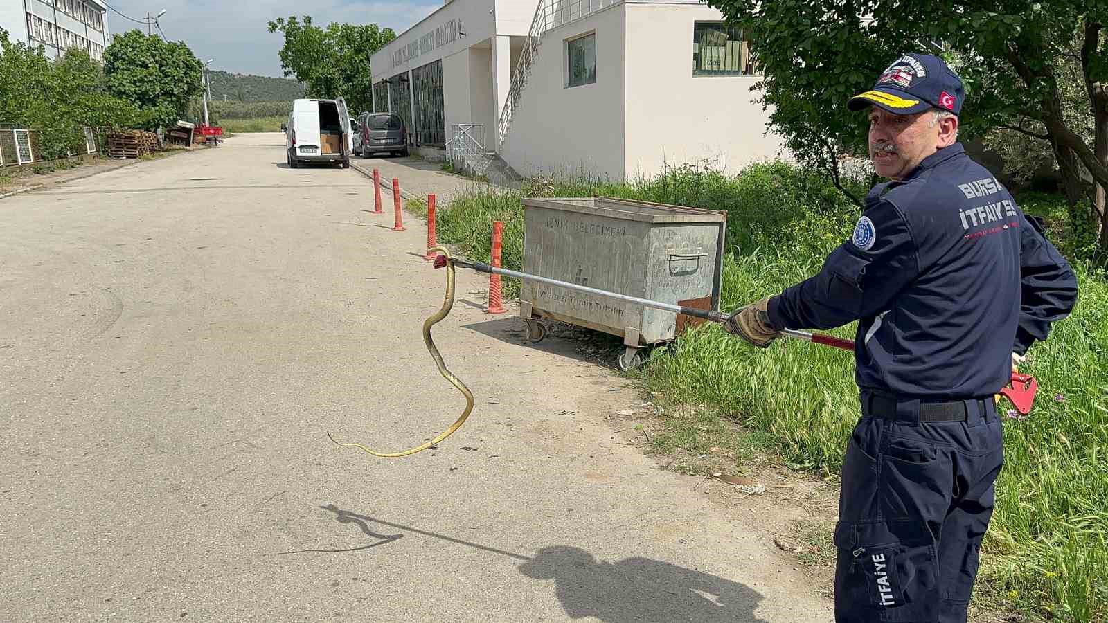 Bursa’da polis aracına giren yılanı itfaiye ekibi çıkardı