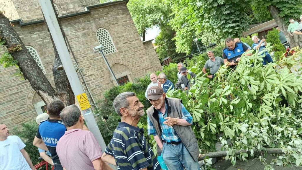 Bayram alışverişi yapanların üzerine ağaç devrildi