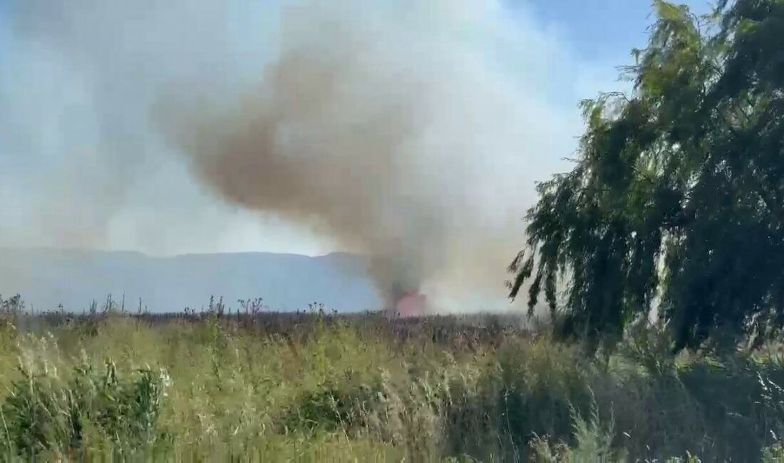 BURSA'NIN İZNİK İLÇESİNDE SAZLIK