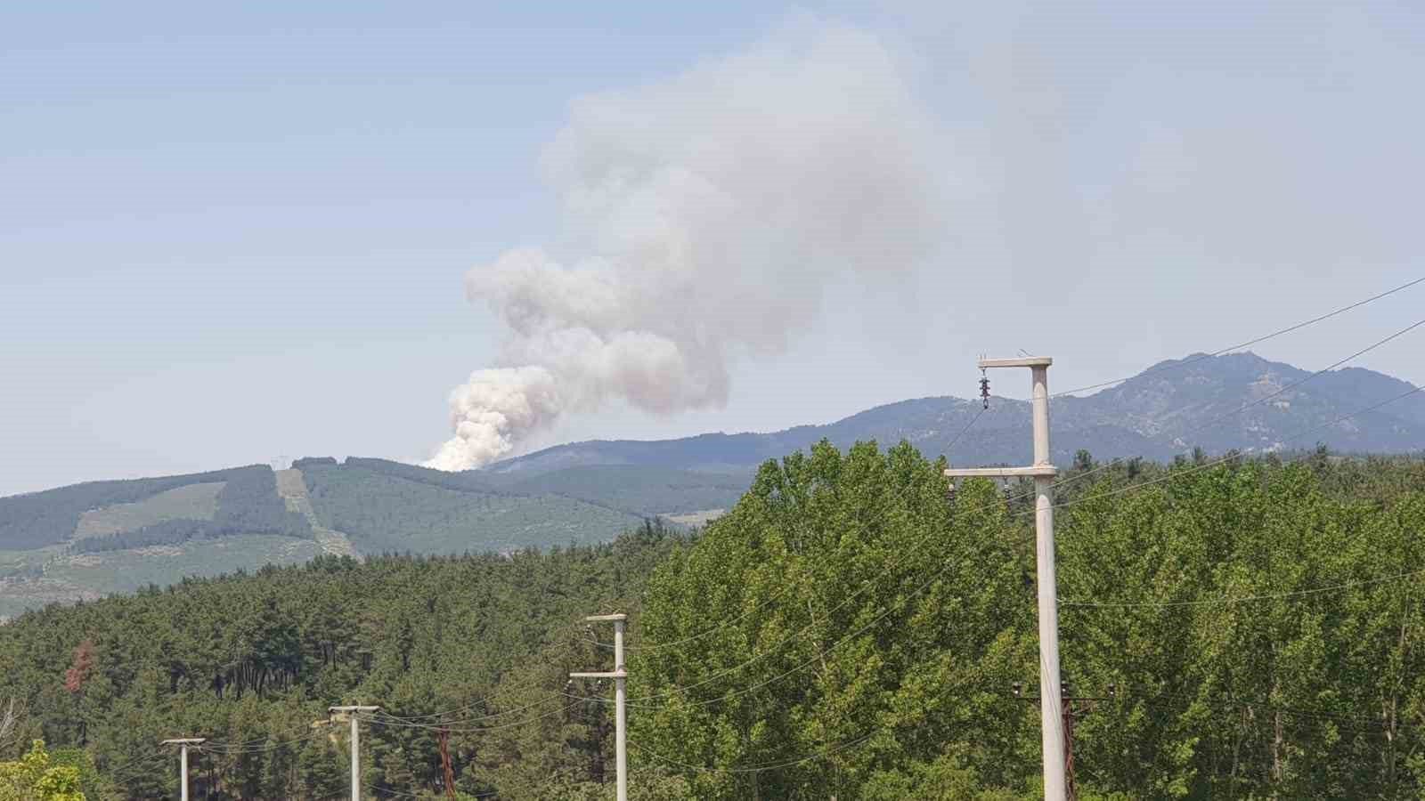 Bursa’da orman yangını..Uçaklar ve helikopterler sevk edildi