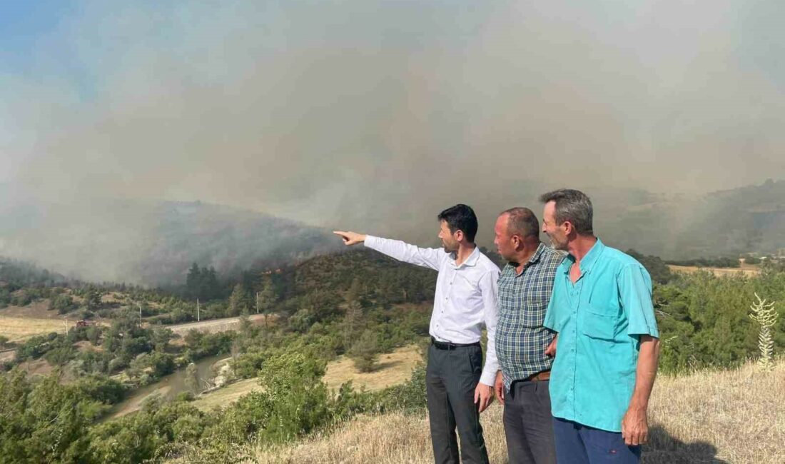 BURSA'NIN BÜYÜKORHAN İLÇESİNDE ORMANLIK