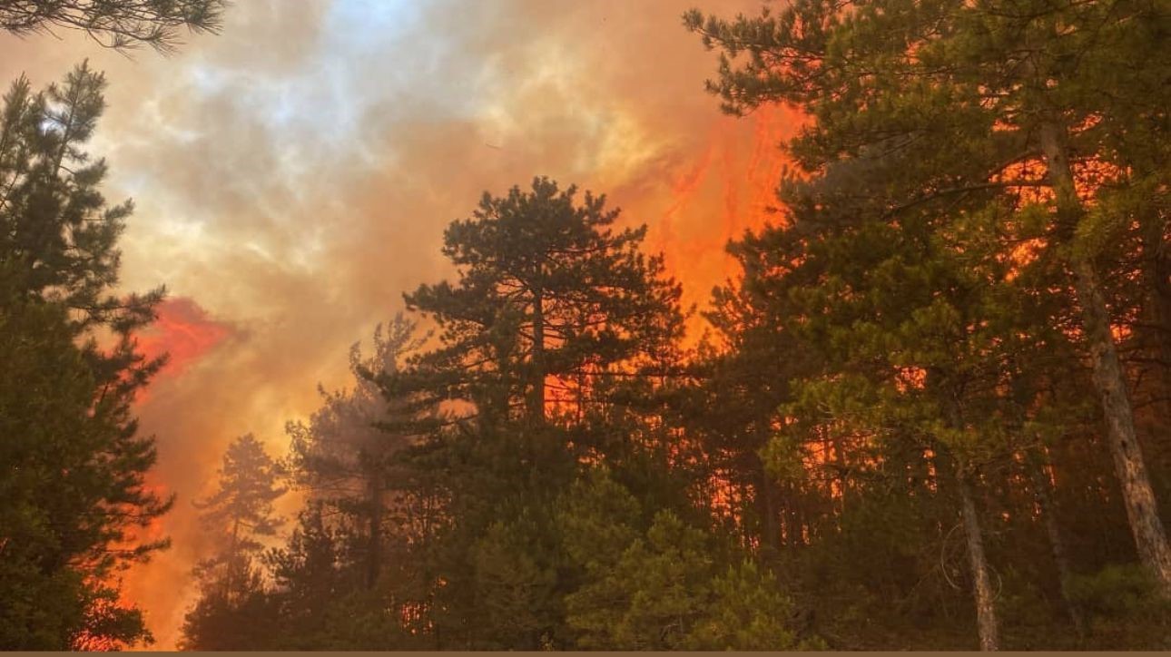 Bursa’daki orman yangınına müdahale artıyor