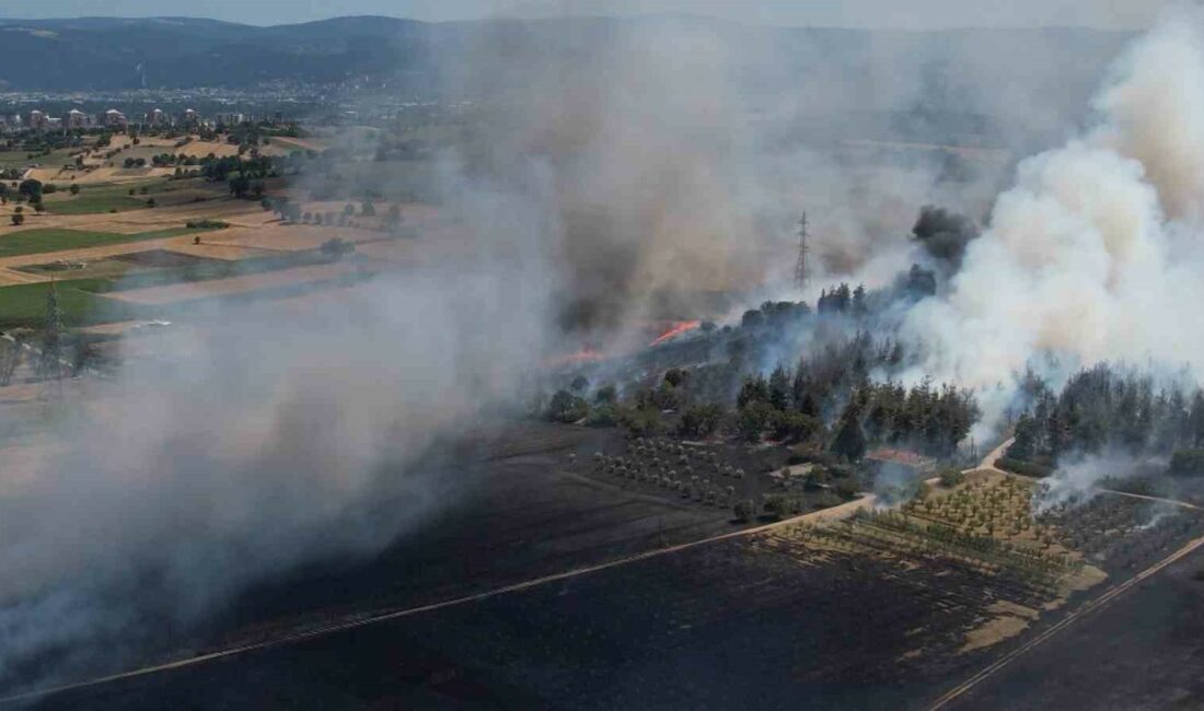 BURSA'NIN NİLÜFER İLÇESİNE BAĞLI