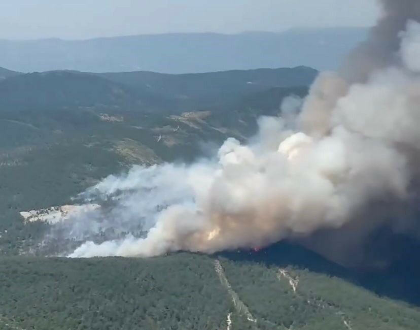 BURSA’NIN ORHANELİ İLÇESİNDE ORMANLIK