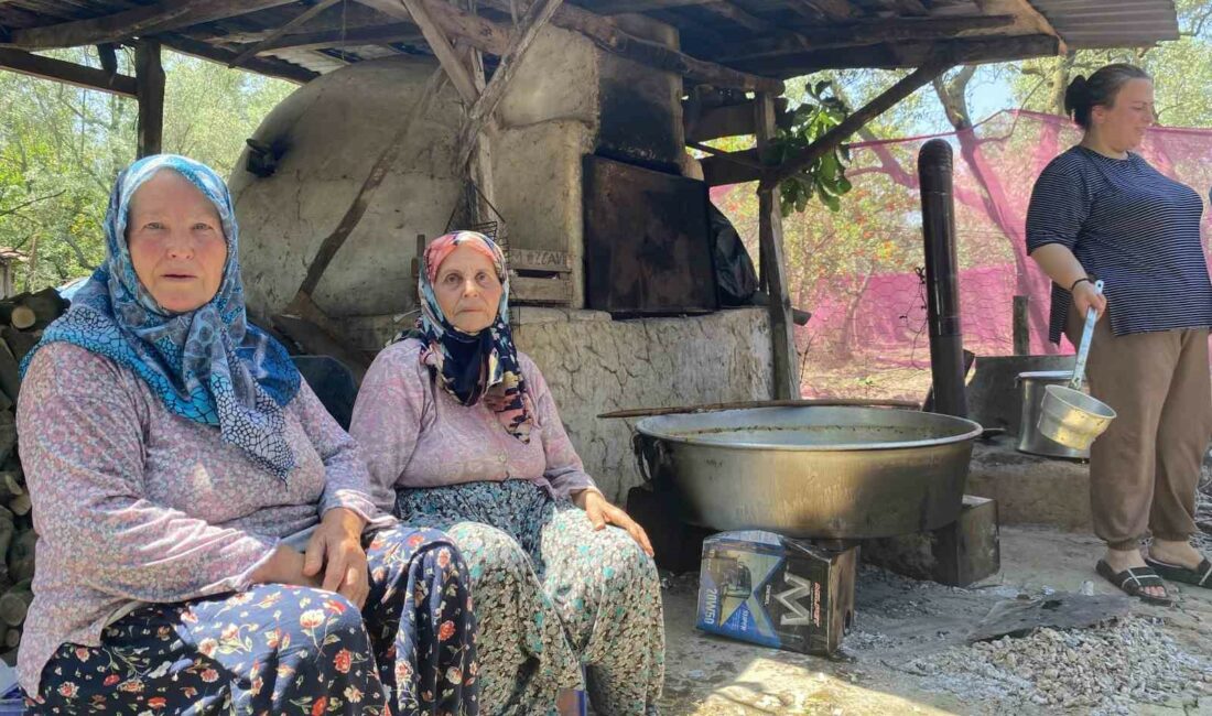 İZNİK’E BAĞLI GÖLLÜCE MAHALLESİ’NDE