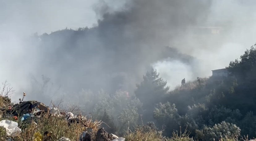 İznik’te çıkan yangın rüzgarın etkisiyle hızla büyüyor