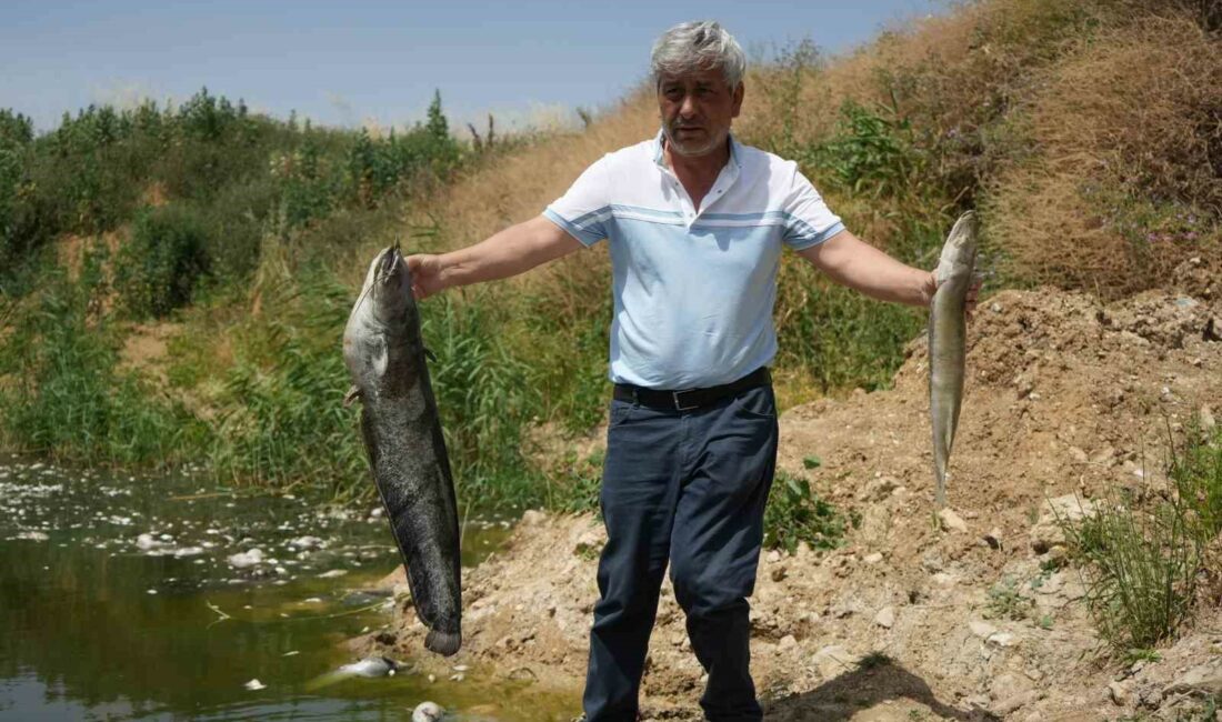 İLHAN DÜZEN AÇIKLAMALARDA BULUNDU