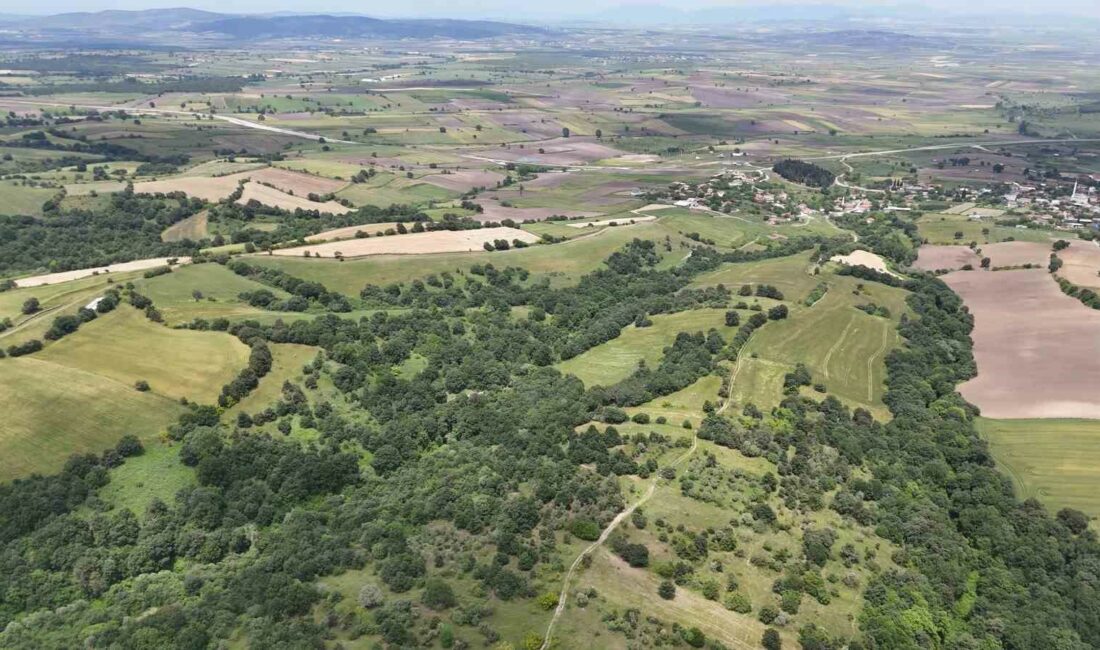 ARAZİDE ÇOK KAZANMAKTAN DAHA