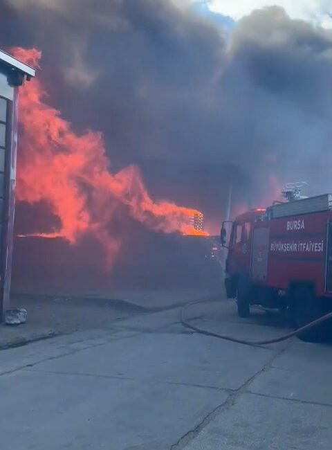 Bursa’nın Yenişehir ilçesindeki bir