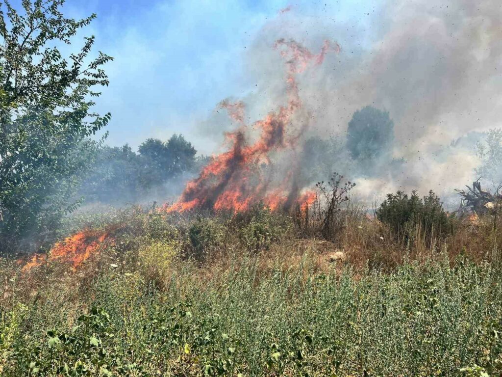 Bursa’da otluk alanda çıkan yangın büyümeden söndürüldü