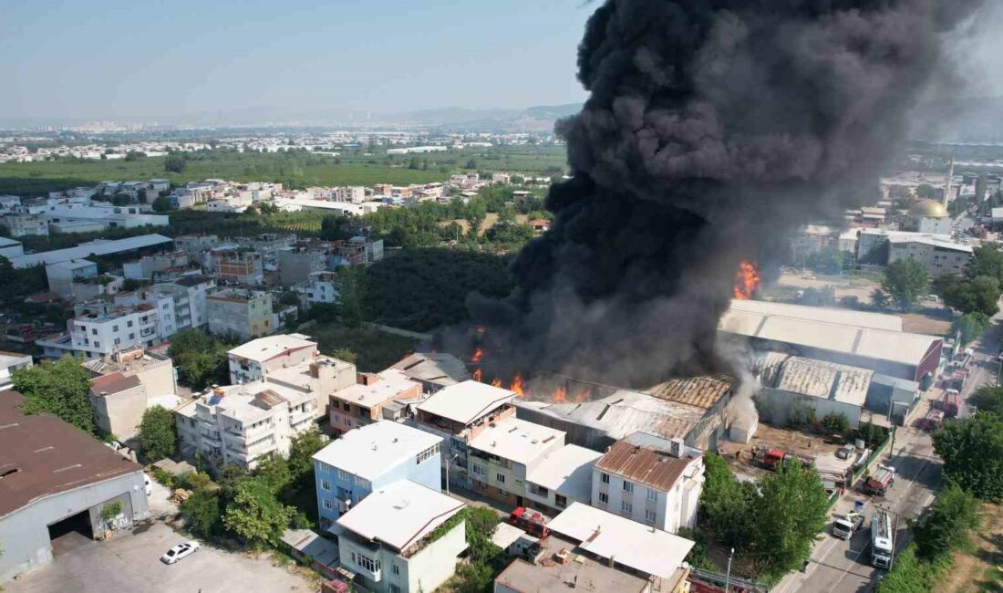 BURSA'NIN YILDIRIM İLÇESİNDE KAĞIT