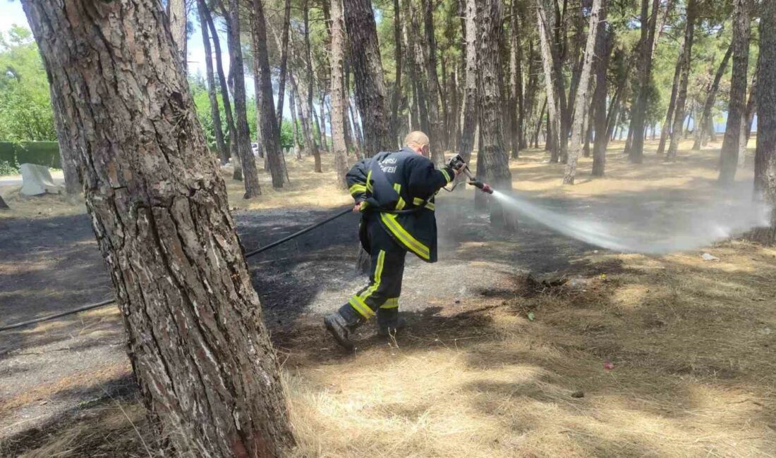 BURSA’NIN ORHANGAZİ İLÇESİNDE İZNİK