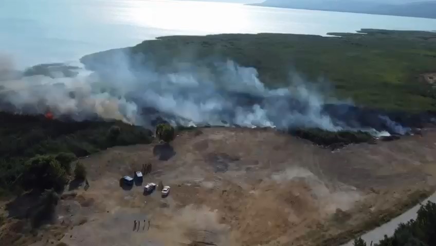 İZNİK GÖLÜ'NÜ BESLEYEN SAZLIK