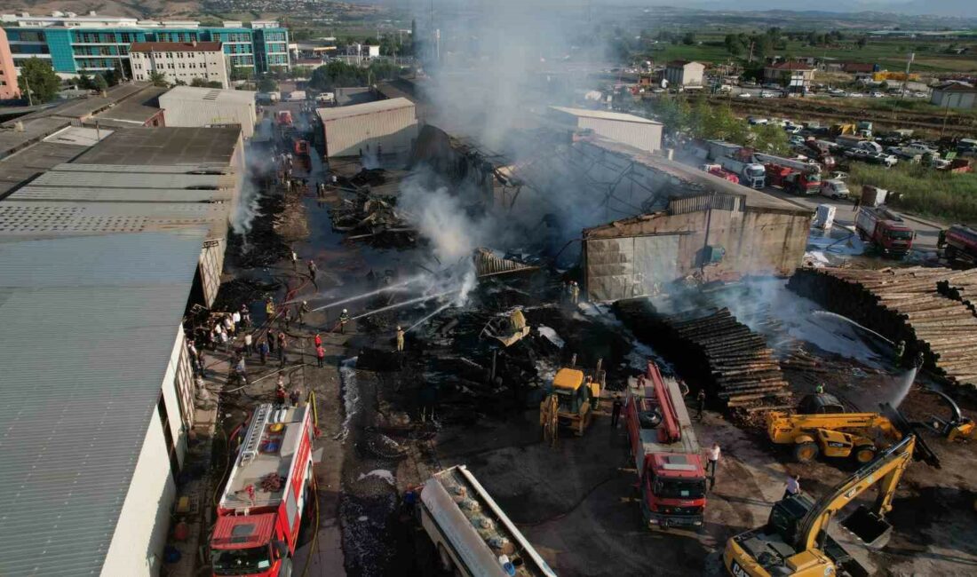 BURSA'NIN YENİŞEHİR İLÇESİNDE KERESTE