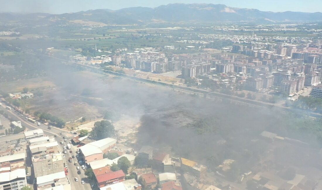 BURSA'DA OTLUK ALANDA ÇIKAN