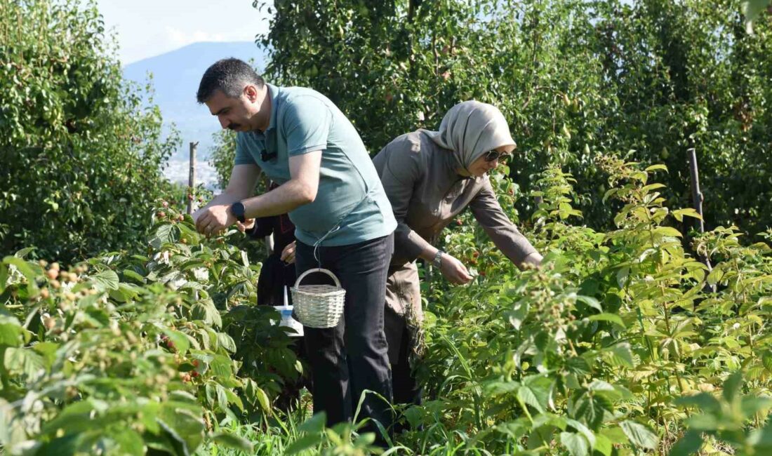 YILDIRIM BELEDİYE BAŞKANI OKTAY