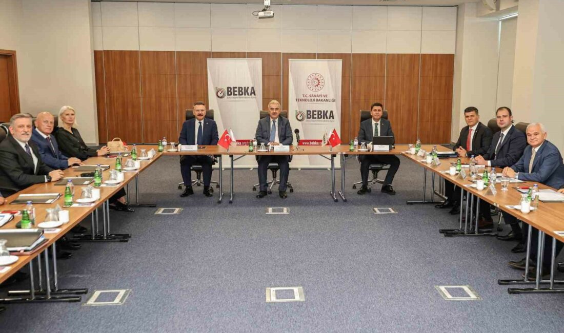 BURSA ESKİŞEHİR BİLECİK KALKINMA