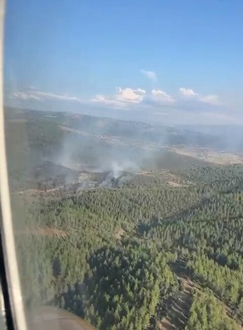 BURSA'NIN BÜYÜKORHAN İLÇESİNDE ORMAN