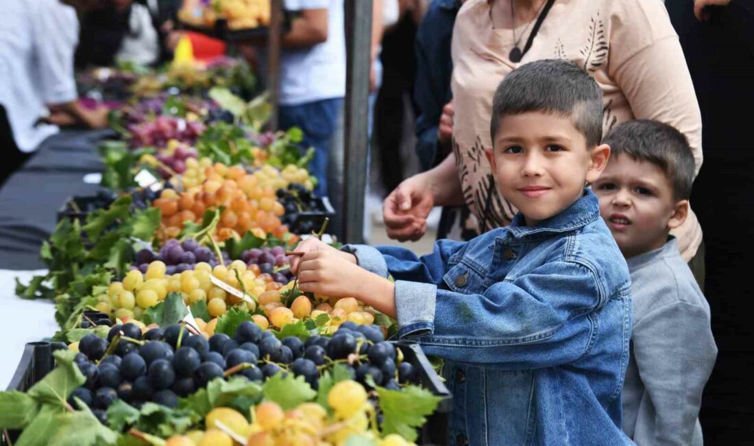 TÜRKİYE’NİN EN KALİTELİ VE