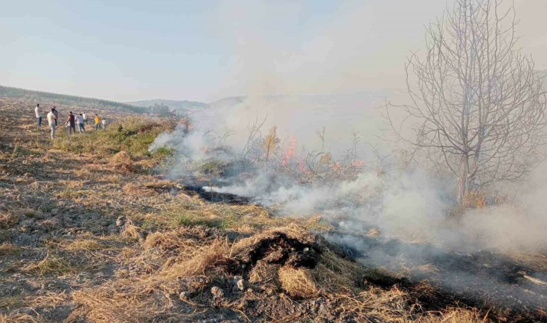 BURSA'NIN YENİŞEHİR İLÇESİNE BAĞLI