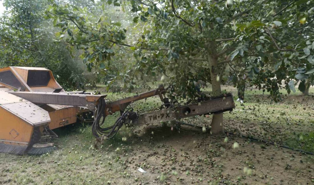 KASIM AYI SONUNA KADAR