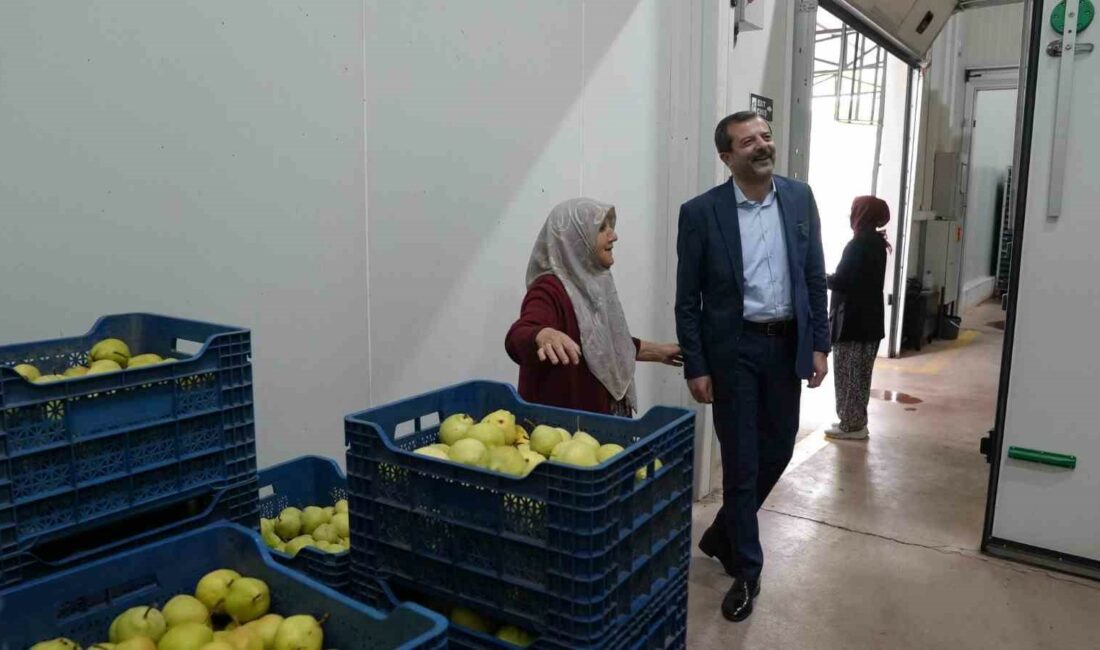 GÜRSU ARMUDUNU ÜRETMEK İÇİN