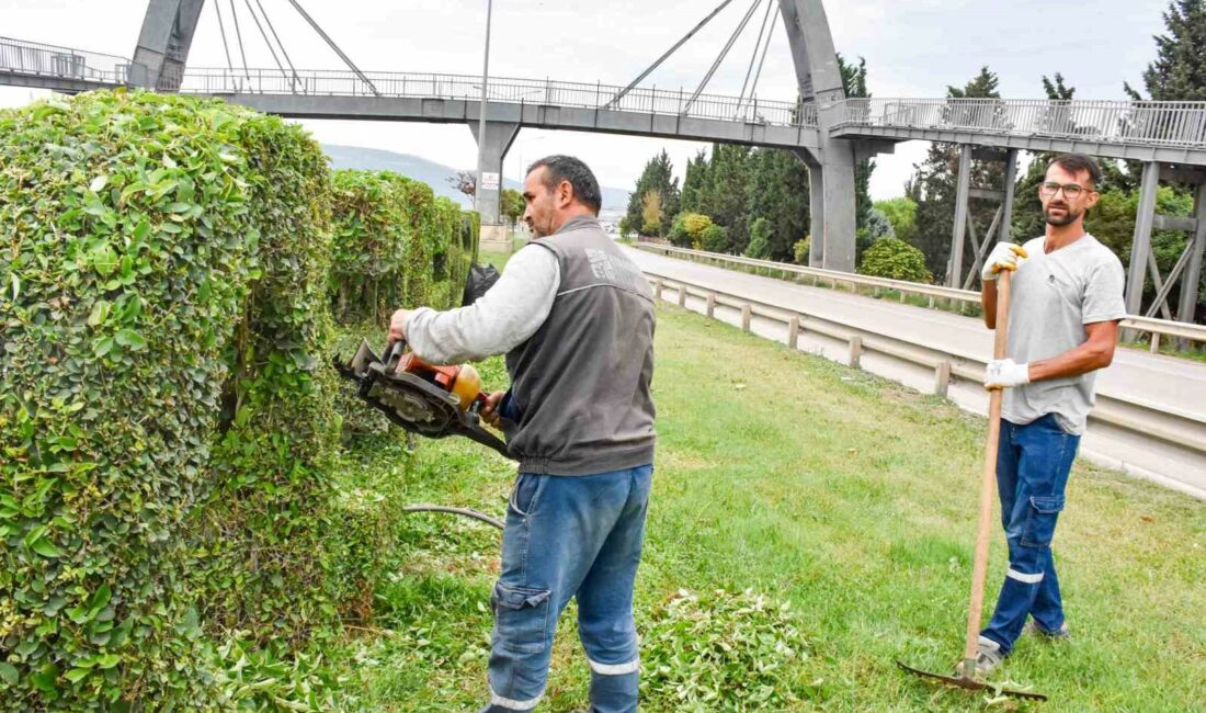 KARACABEY BELEDİYESİ, İLÇE GENELİNDE