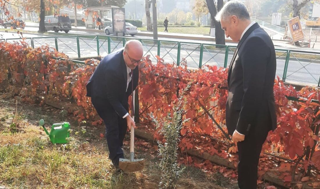 Çevre Şehircilik ve İklim