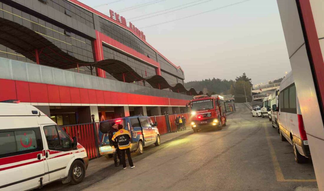 BURSA'NIN MUDANYA İLÇESİNDE ÖZEL