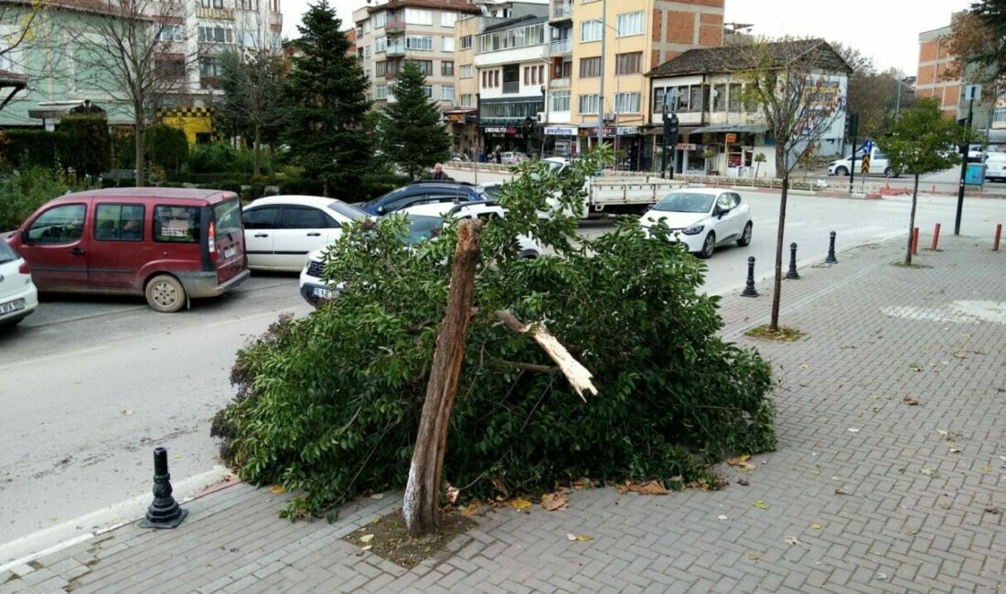 Bursa’nın İnegöl ilçesinde şiddetli