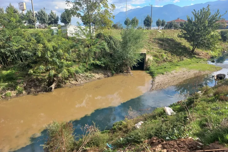 Bursa'nın yaşam kaynağı Nilüfer