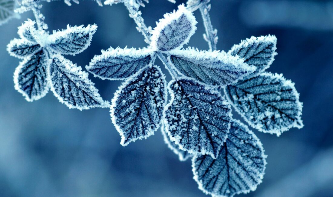 Bursa Valiliği, meteorolojik değerlendirmelere