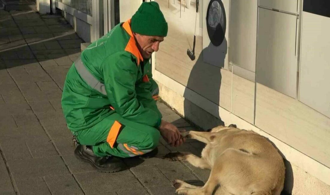 Bursa’da sokak köpeğiyle oynarken