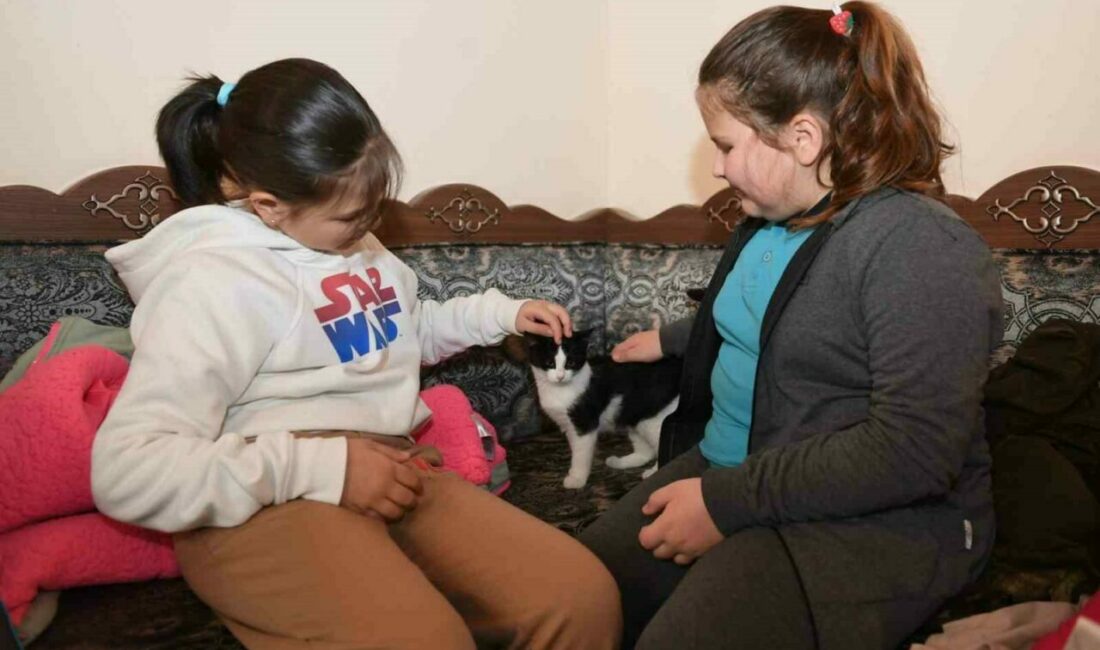 Osmangazi Belediyesi, çocuklara kitap